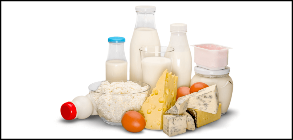 Are eggs dairy products? - What is a dairy product?