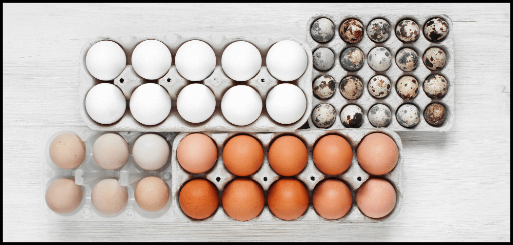 Are eggs diary products - Best and worst eggs to eat