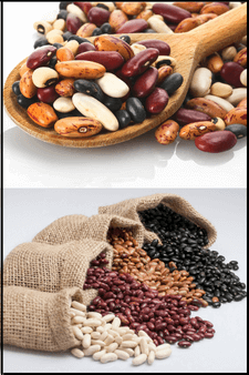 27 Best Foods and Diet That Make a Person Grow Taller - Beans