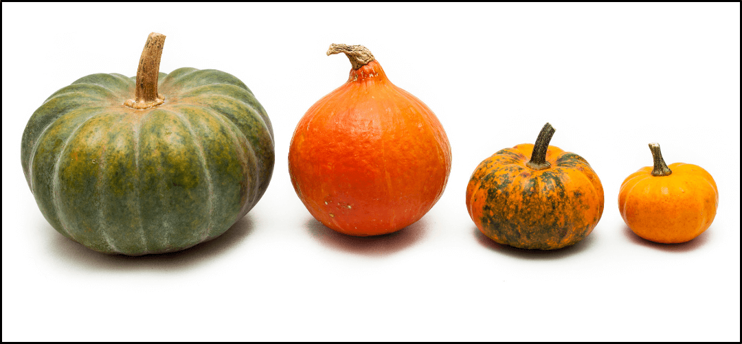 Kabocha squash nutrition benefits digestion, blood sugar & more