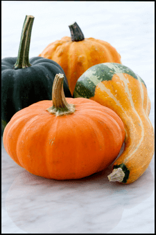 What is kabocha squash 