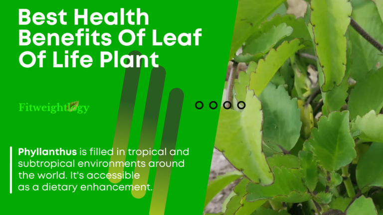 47 Best health benefits of leaf of life plant