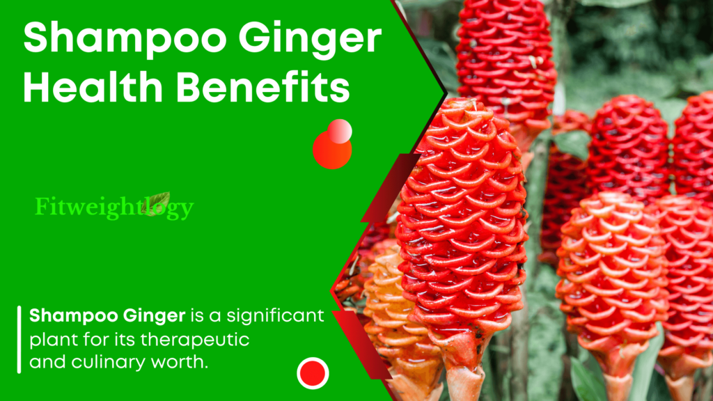 Shampoo Ginger Plant Health Benefits