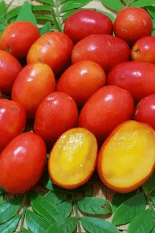 Jojotes (spanish plums)