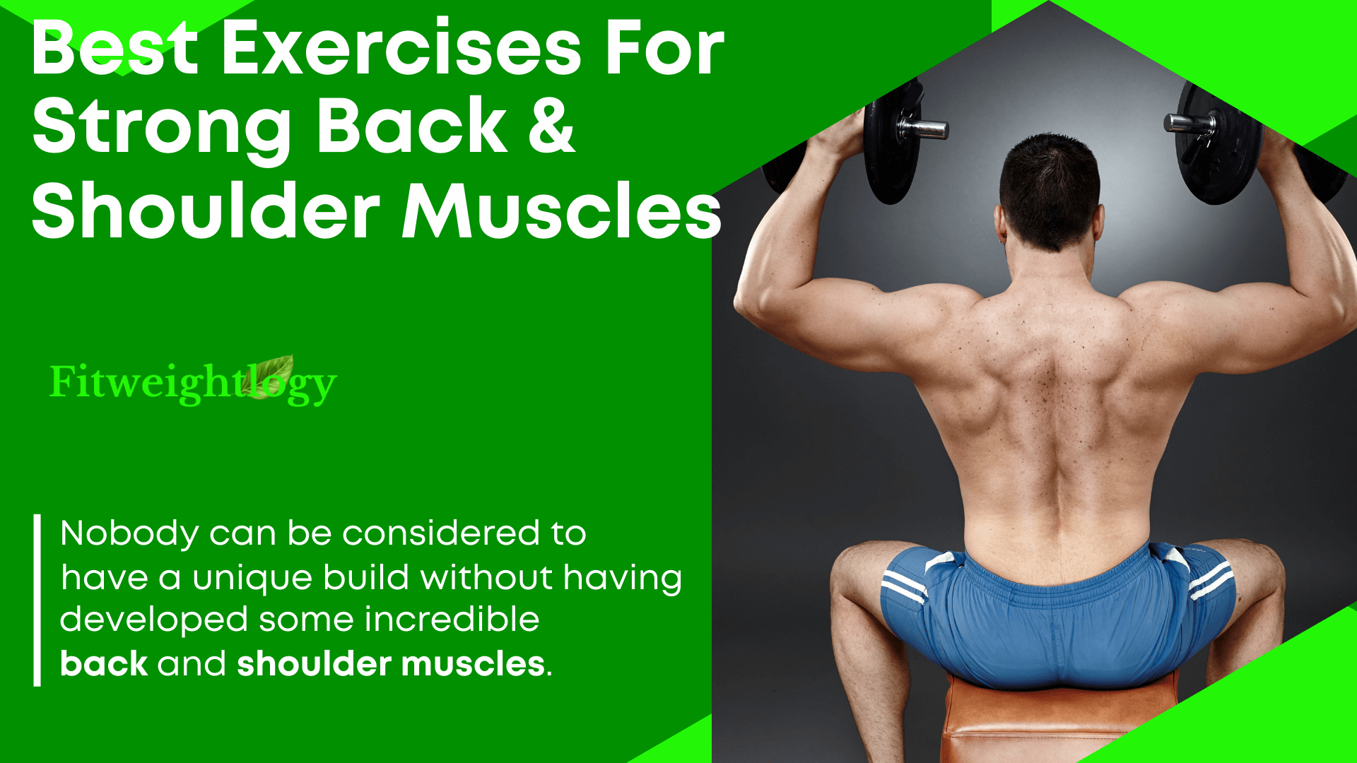 Best Exercises To Build Strong Back And Shoulder Muscles