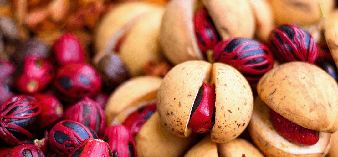 Is Nutmeg A Nut? Should People With Nut Allergy Avoid Nutmeg?