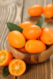 What Is A Kumquat, And Where Does It Grow?