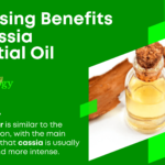 Surprising Benefits Of Cassia Essential Oil