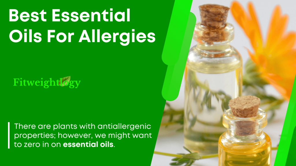 Best Essential Oils For Allergies