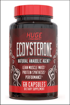 Ecdysterone - Huge Supplements
