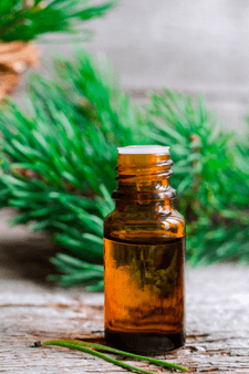 Pine essential oil