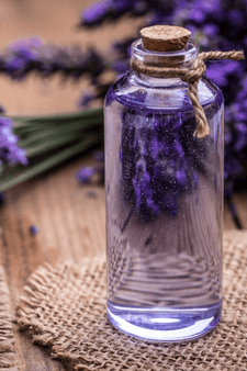 Lavender essential oil