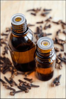 Clove Essential Oil - Syzygium Aromaticum