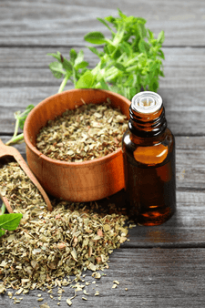 Oregano Essential Oil – Oreganum Vulgare