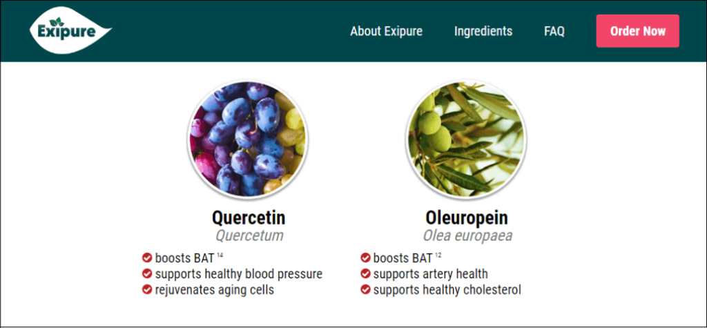 What are exipire ingredients