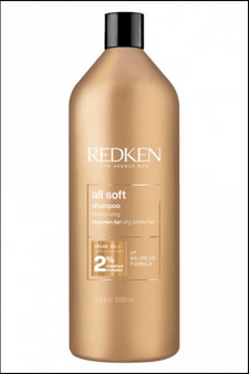 Redken All Soft Shampoo | For Dry/Brittle Hair | Provides Intense Softness and Shine | With Argan Oil